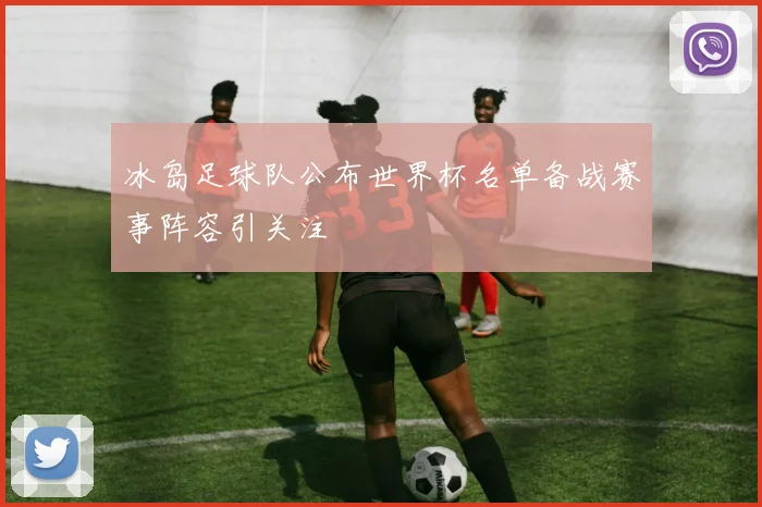 冰岛足球队公布世界杯名单备战赛事阵容引关注